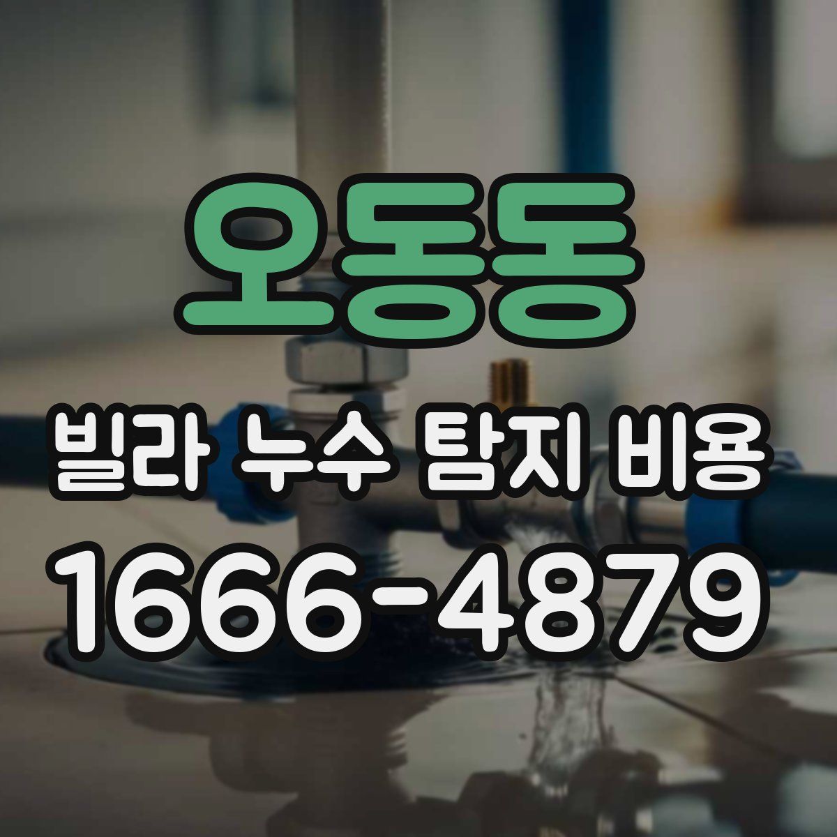 오동동 빌라 누수 탐지 비용
