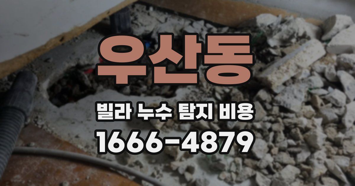 우산동 빌라 누수 탐지 비용