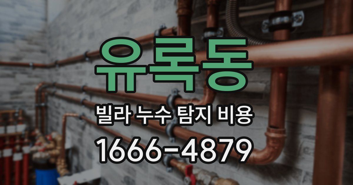 유록동 빌라 누수 탐지 비용