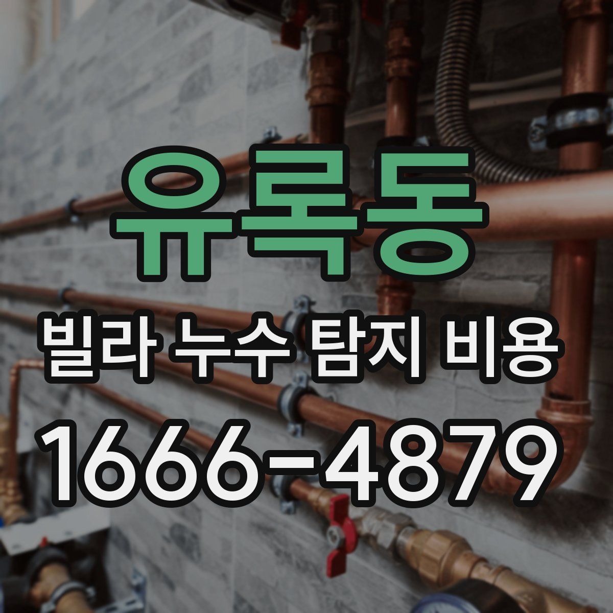 유록동 빌라 누수 탐지 비용