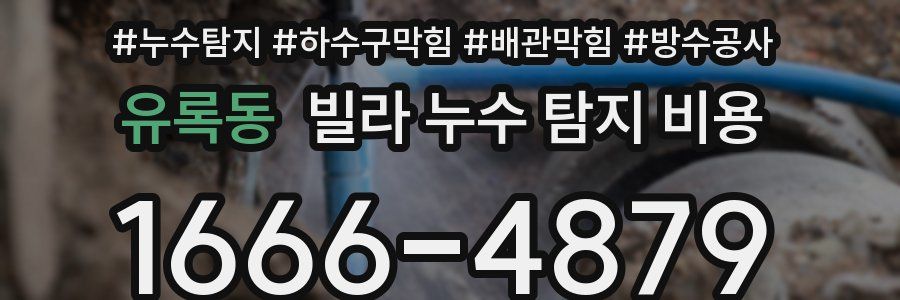 유록동 빌라 누수 탐지 비용