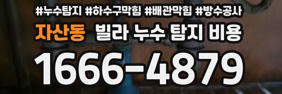 자산동 빌라 누수 탐지 비용