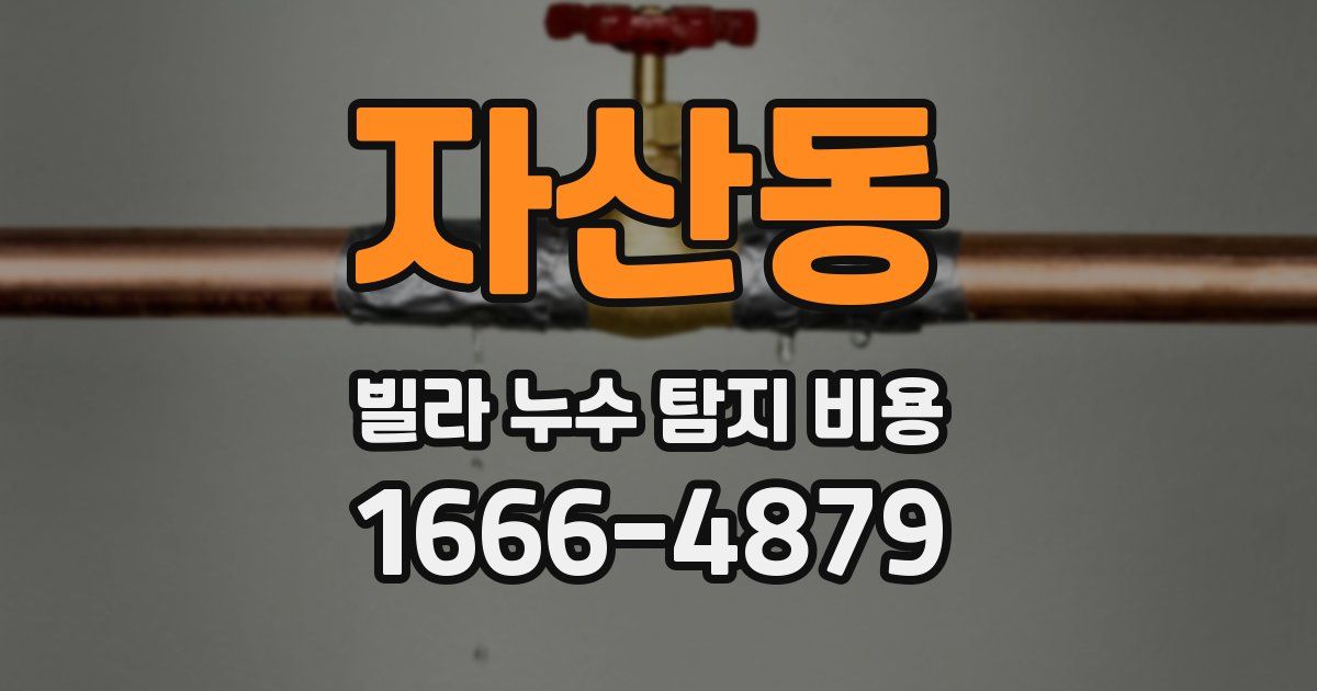 자산동 빌라 누수 탐지 비용