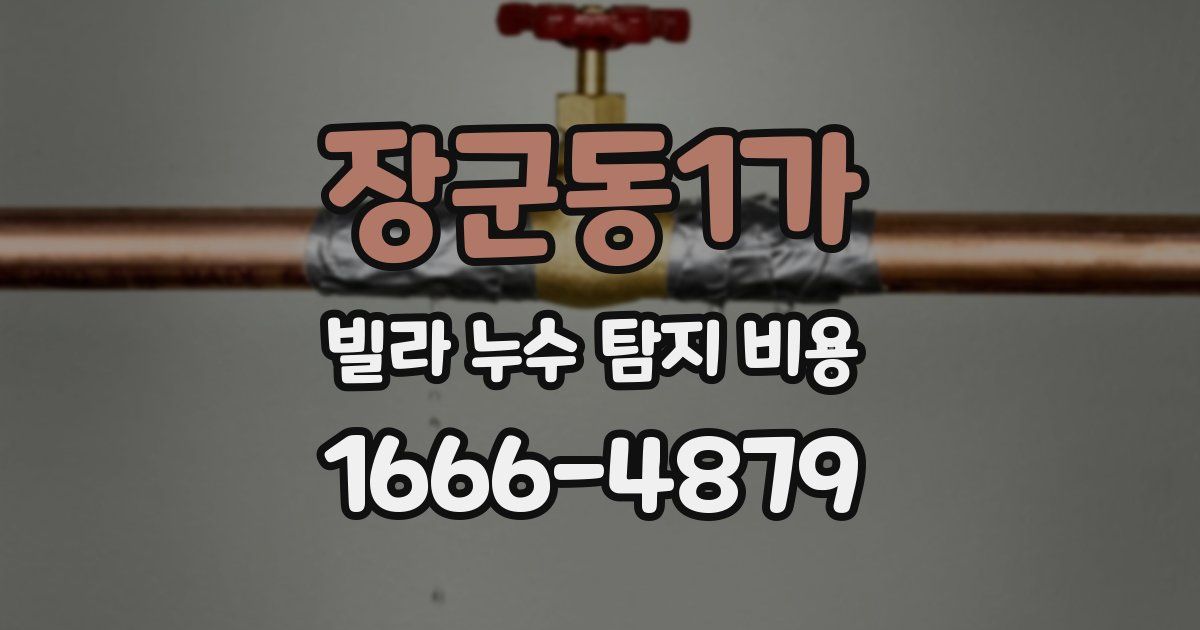 장군동1가 빌라 누수 탐지 비용