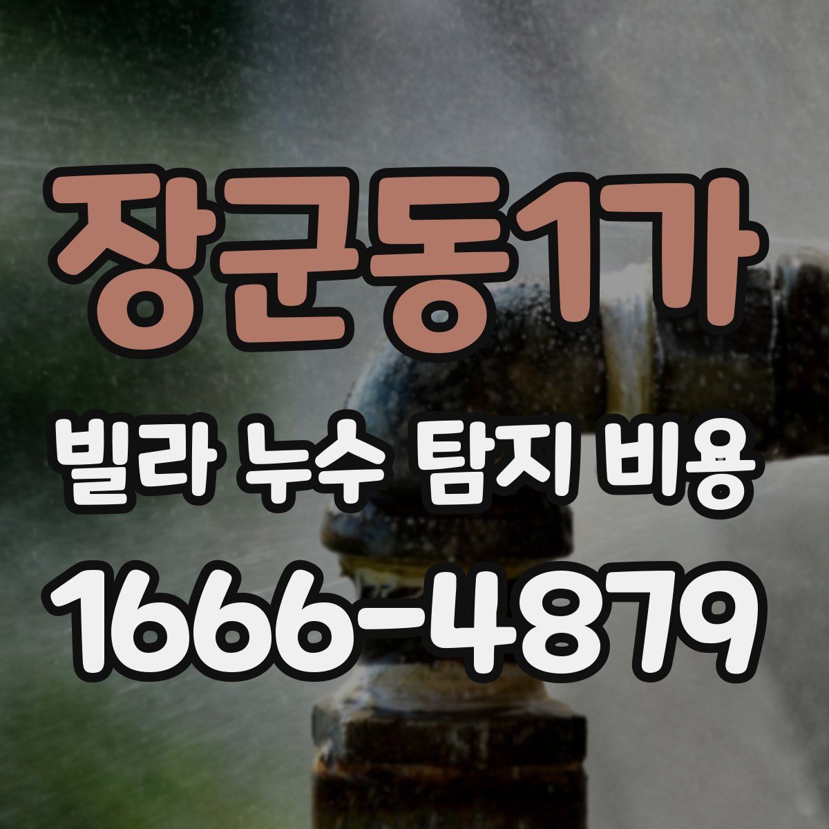 장군동1가 빌라 누수 탐지 비용