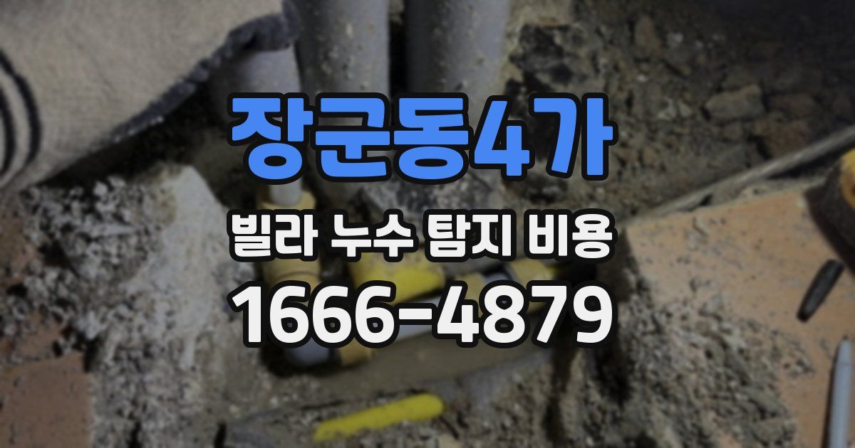 장군동4가 빌라 누수 탐지 비용