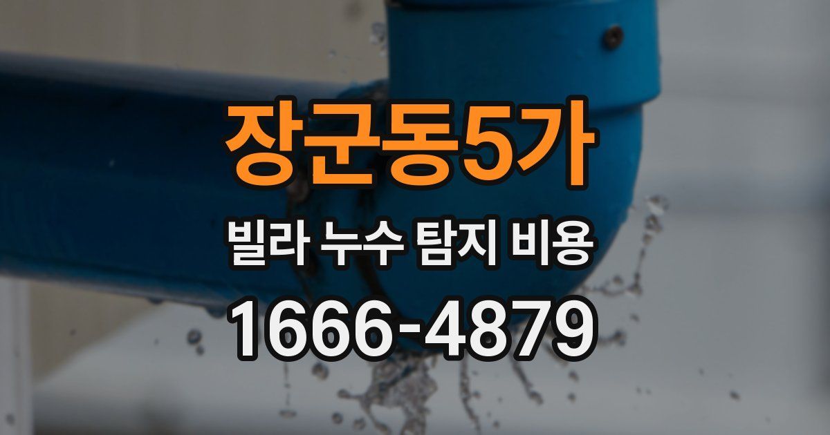 장군동5가 빌라 누수 탐지 비용