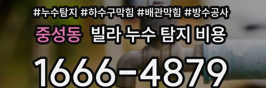 중성동 빌라 누수 탐지 비용