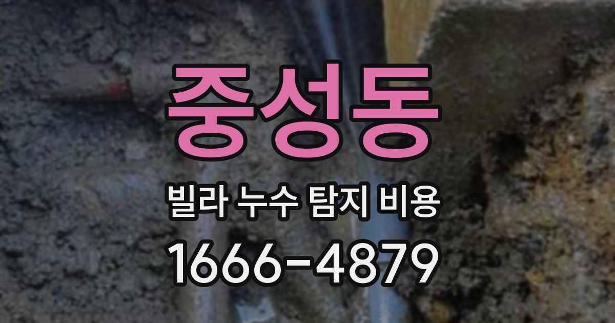 중성동 빌라 누수 탐지 비용