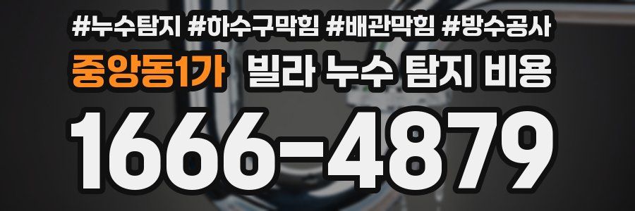 중앙동1가 빌라 누수 탐지 비용