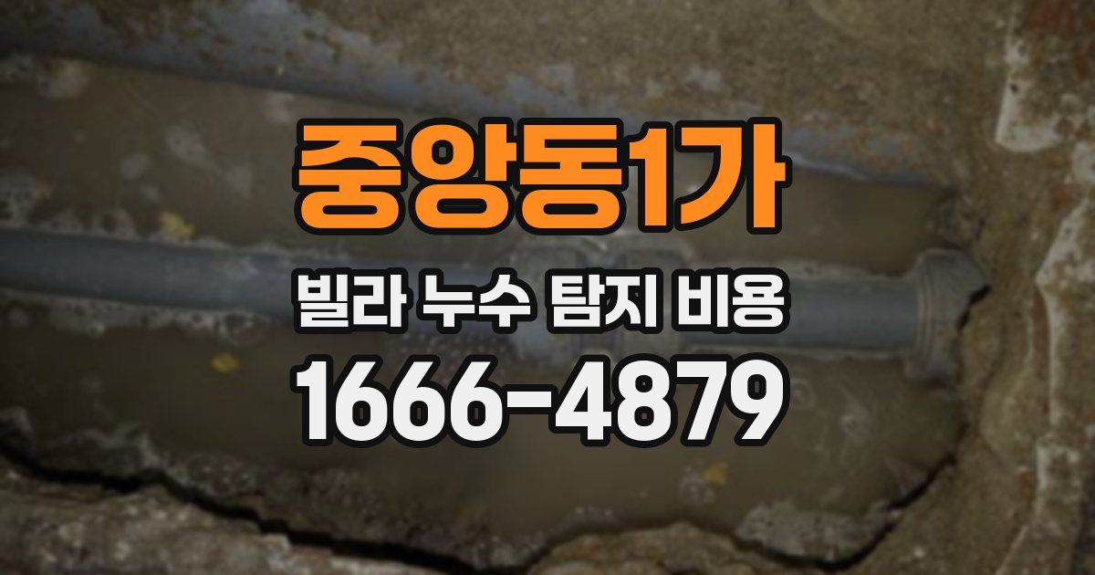 중앙동1가 빌라 누수 탐지 비용