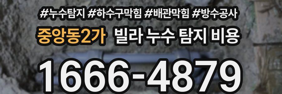 중앙동2가 빌라 누수 탐지 비용