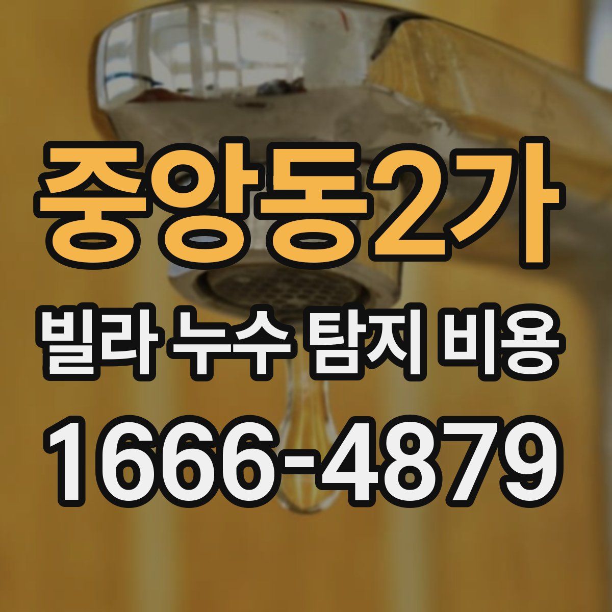 중앙동2가 빌라 누수 탐지 비용