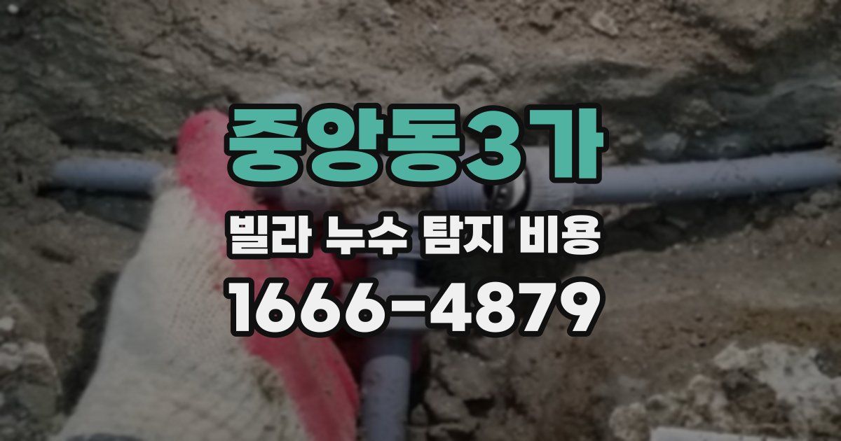 중앙동3가 빌라 누수 탐지 비용