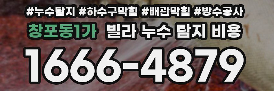 창포동1가 빌라 누수 탐지 비용