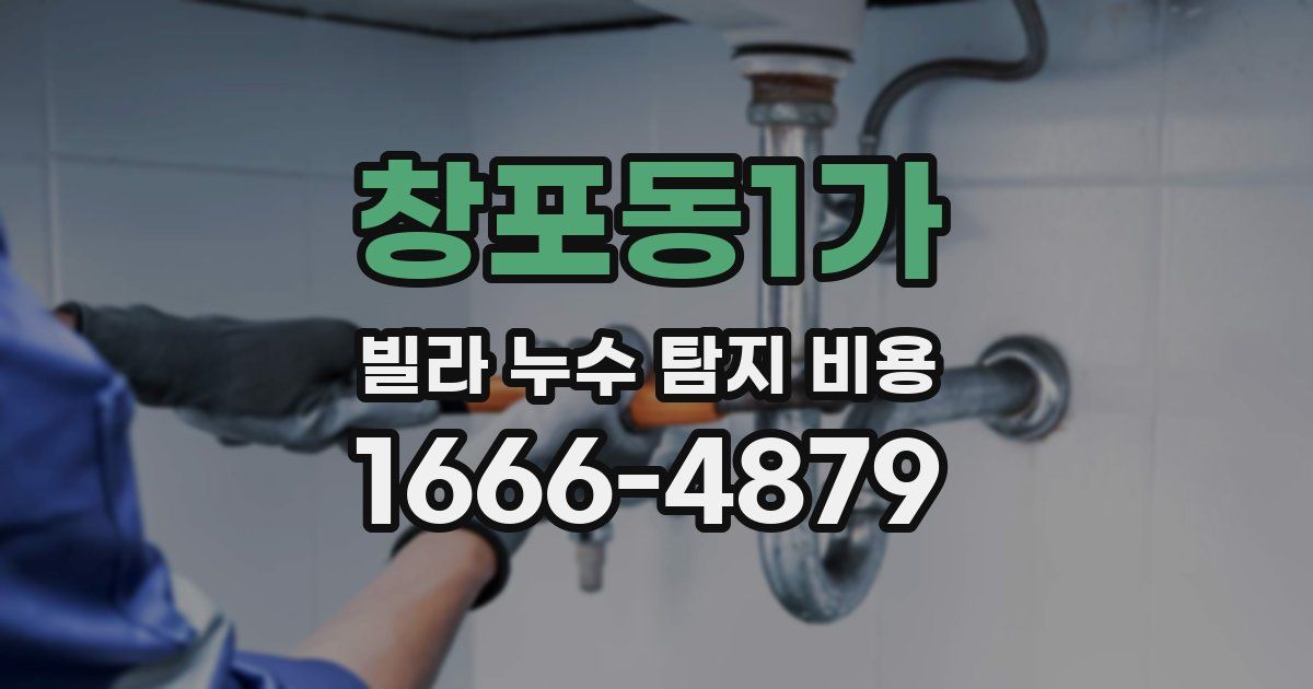 창포동1가 빌라 누수 탐지 비용