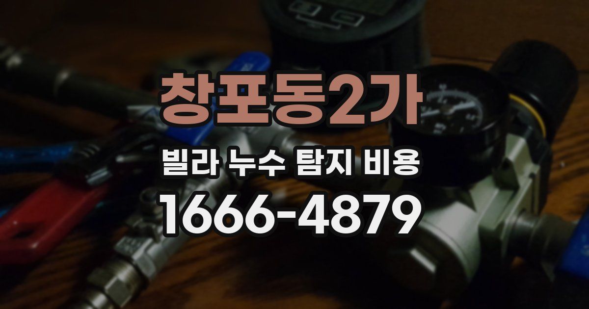 창포동2가 빌라 누수 탐지 비용