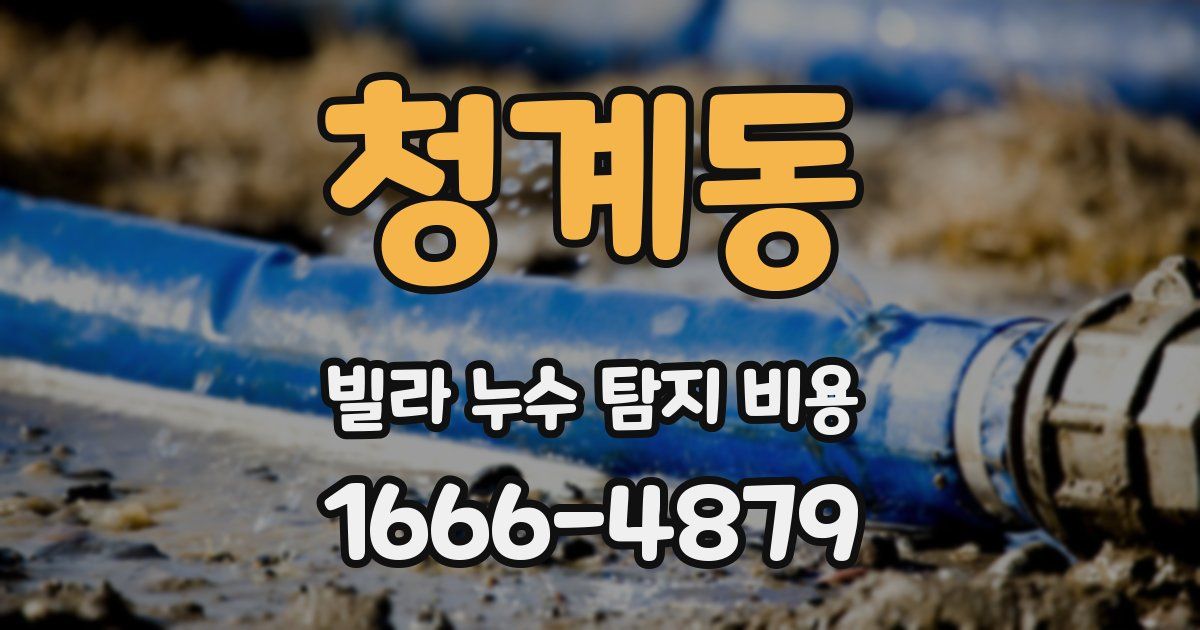 청계동 빌라 누수 탐지 비용