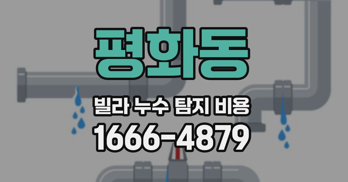 평화동 빌라 누수 탐지 비용