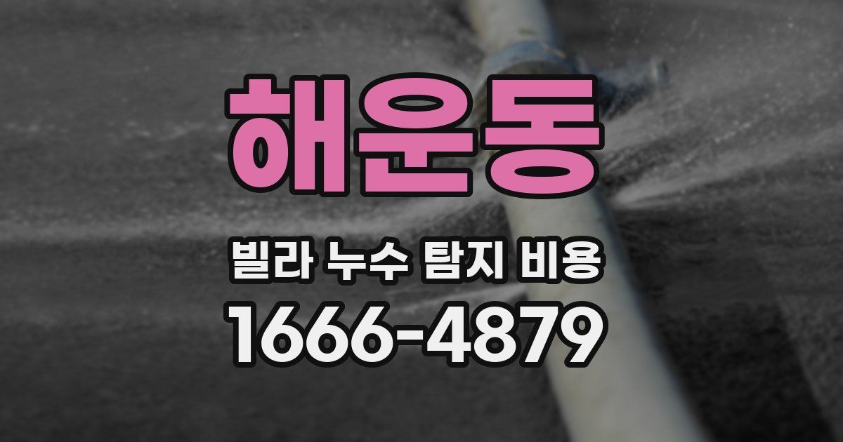 해운동 빌라 누수 탐지 비용