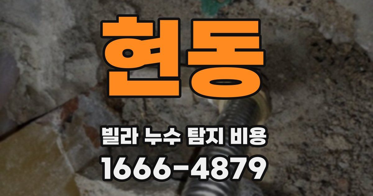 현동 빌라 누수 탐지 비용