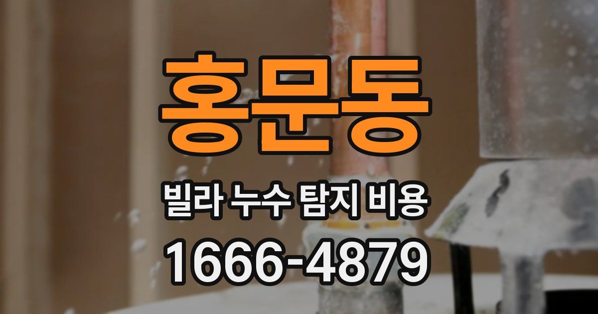 홍문동 빌라 누수 탐지 비용