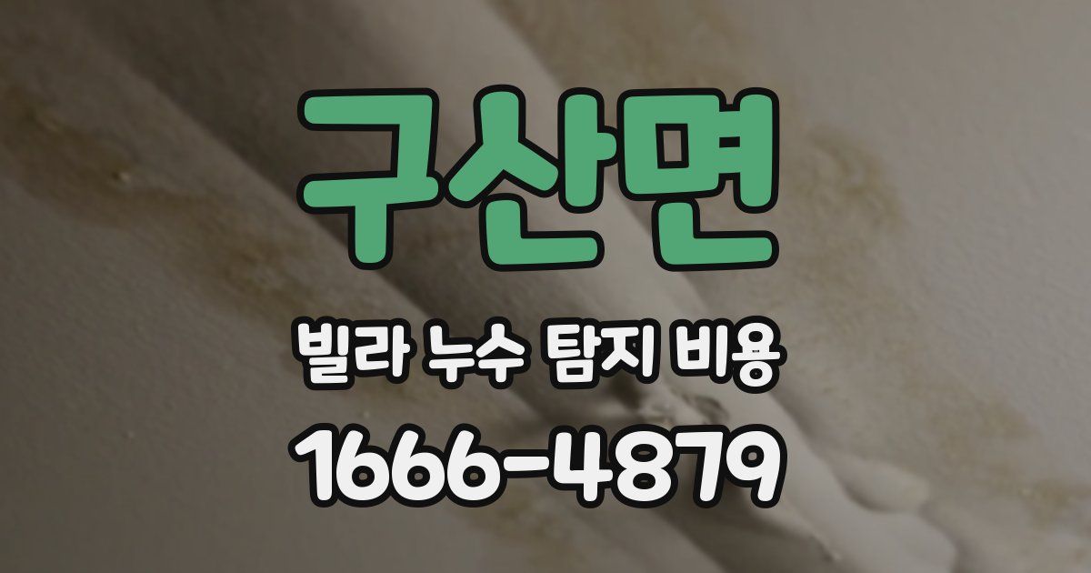 구산면 빌라 누수 탐지 비용