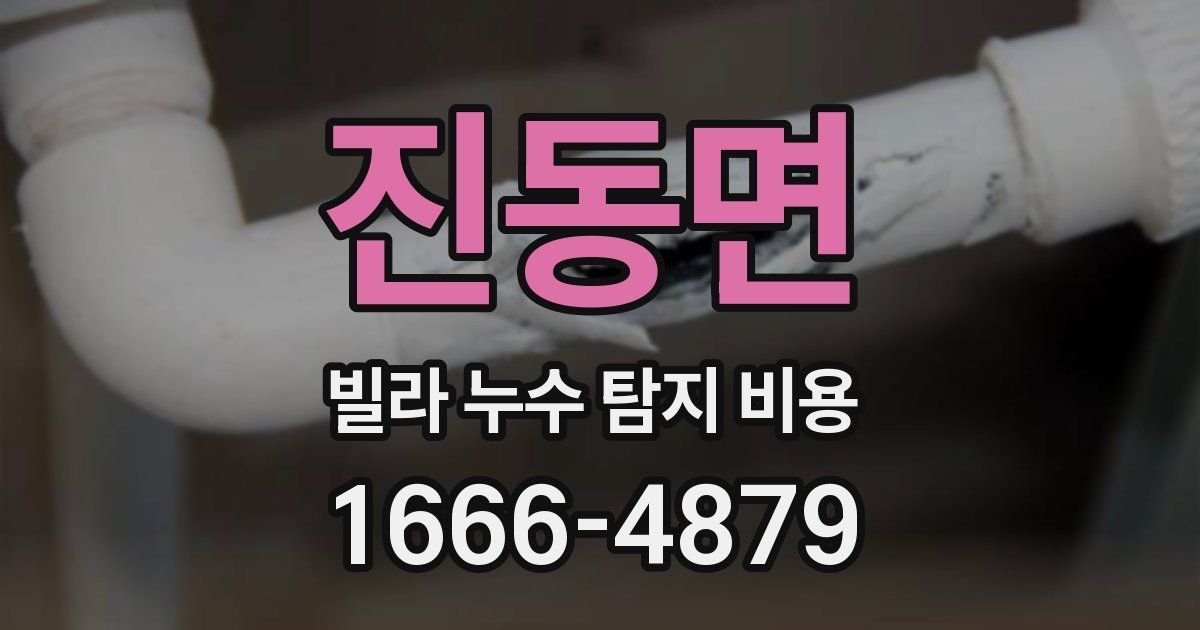 진동면 빌라 누수 탐지 비용
