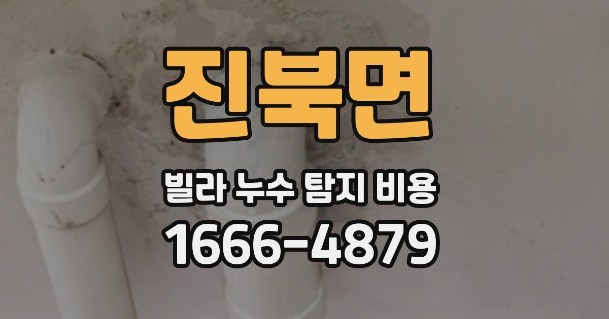 진북면 빌라 누수 탐지 비용