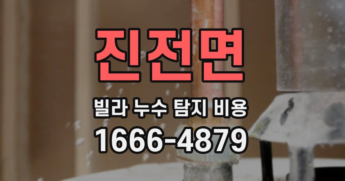 진전면 빌라 누수 탐지 비용