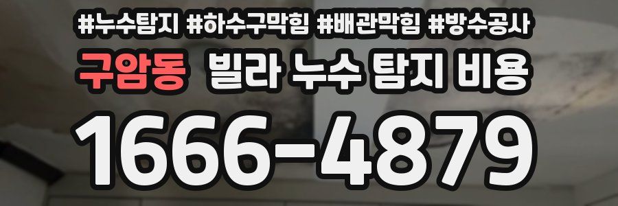 구암동 빌라 누수 탐지 비용