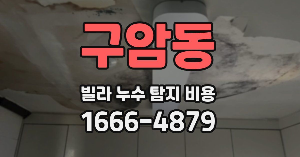 구암동 빌라 누수 탐지 비용