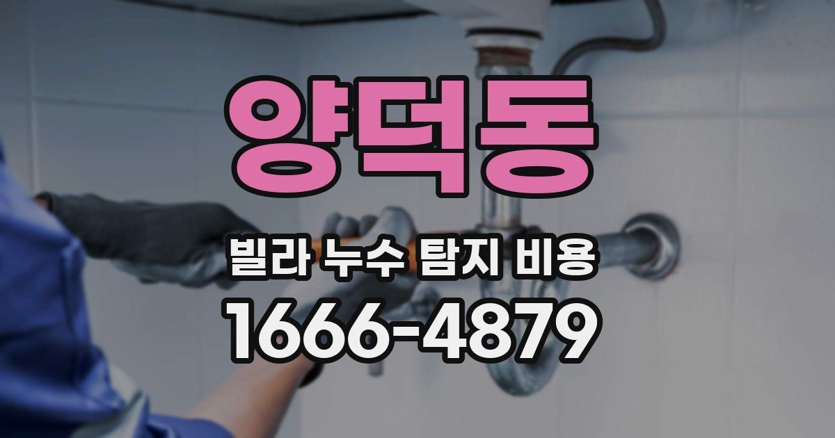 양덕동 빌라 누수 탐지 비용
