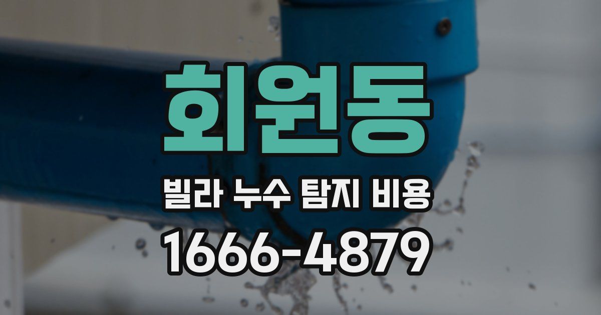 회원동 빌라 누수 탐지 비용