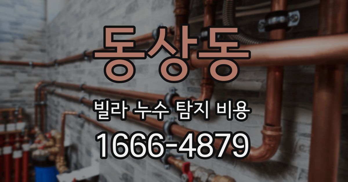 동상동 빌라 누수 탐지 비용