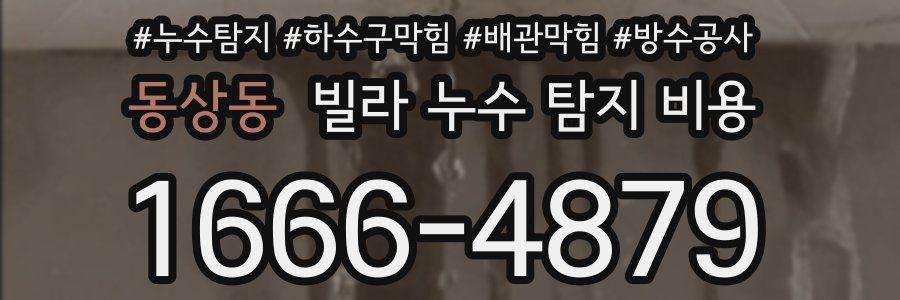동상동 빌라 누수 탐지 비용