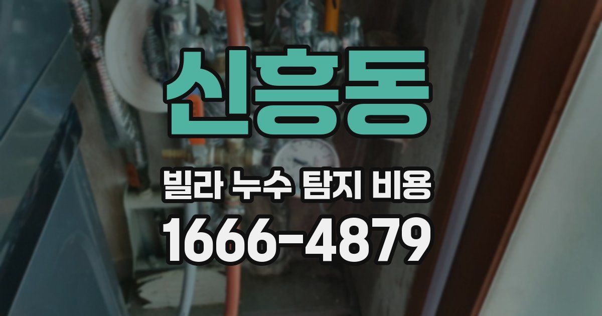 신흥동 빌라 누수 탐지 비용