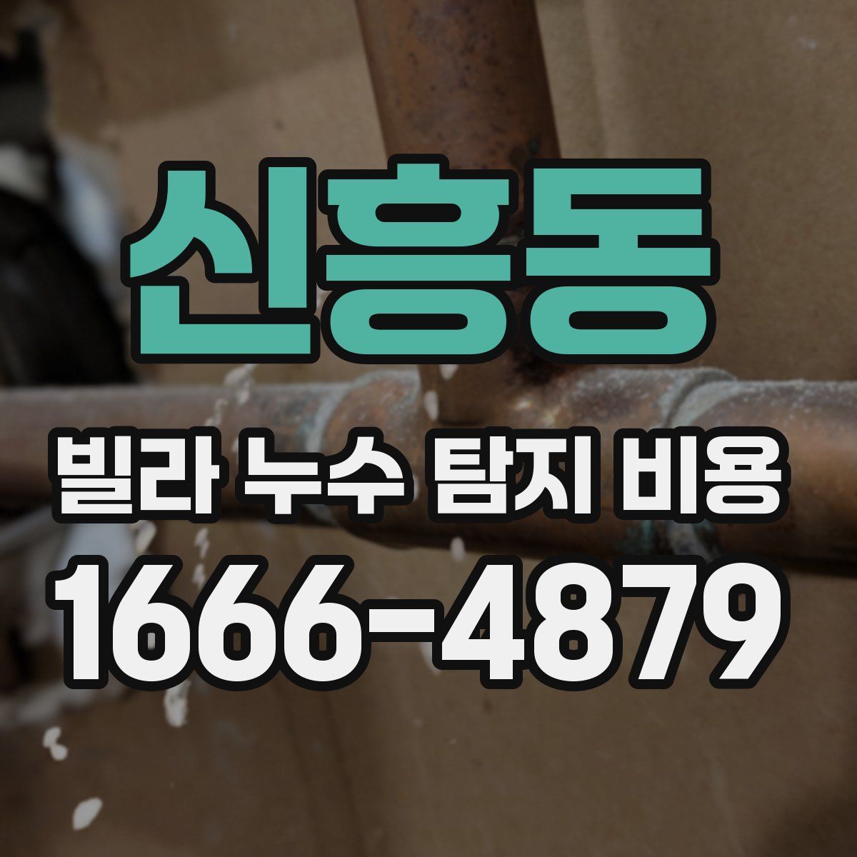 신흥동 빌라 누수 탐지 비용