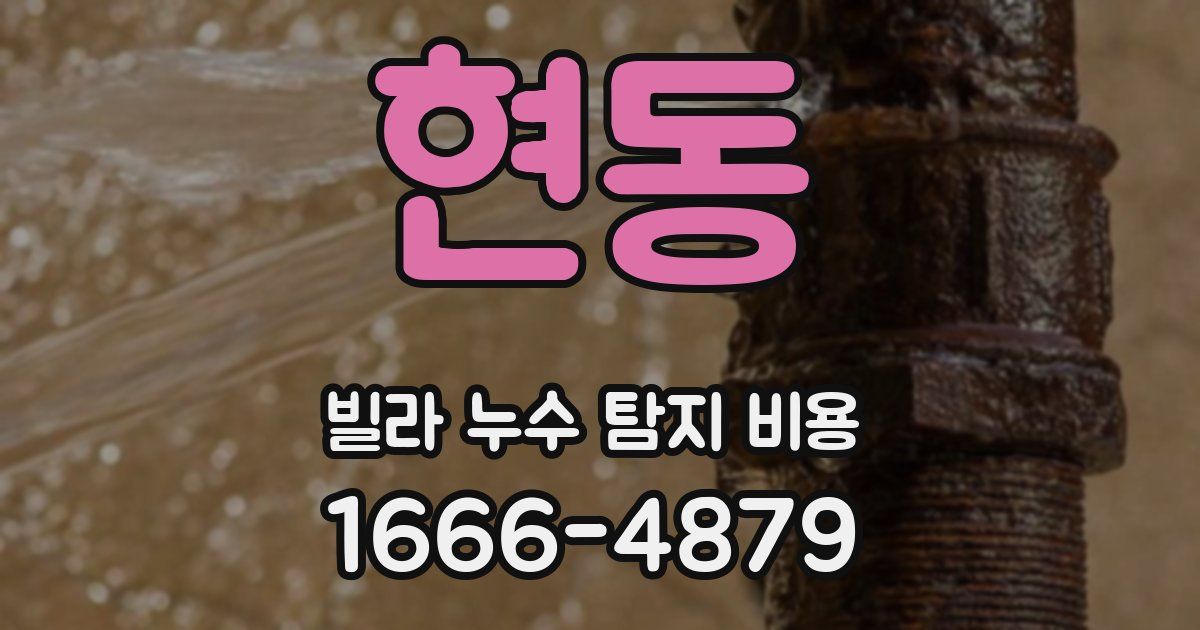 현동 빌라 누수 탐지 비용