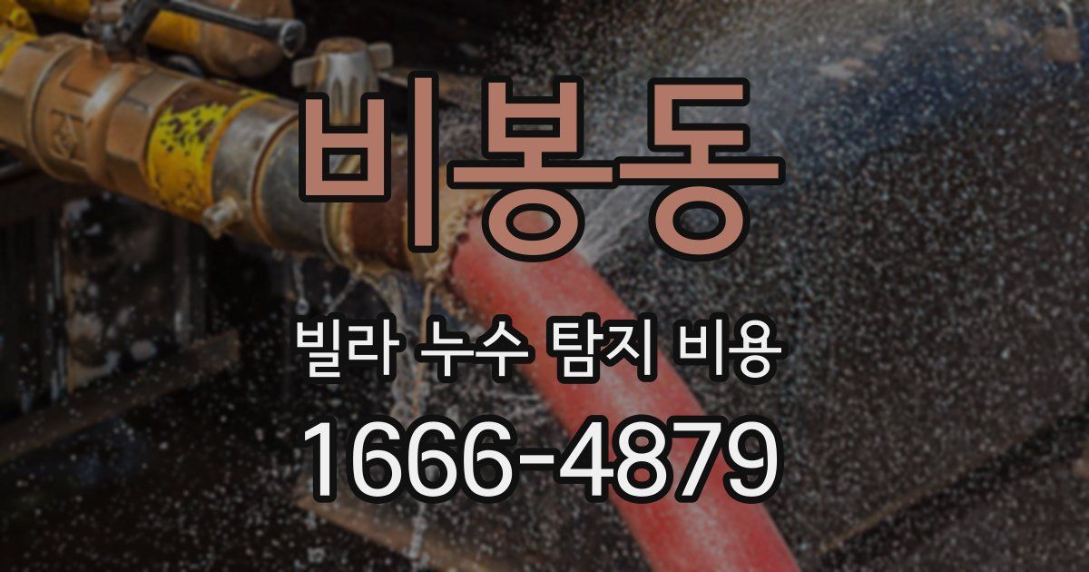 비봉동 빌라 누수 탐지 비용