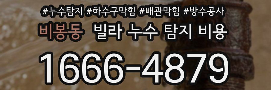 비봉동 빌라 누수 탐지 비용
