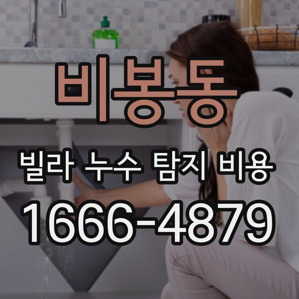 비봉동 빌라 누수 탐지 비용