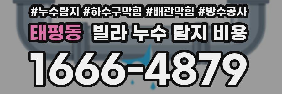 태평동 빌라 누수 탐지 비용