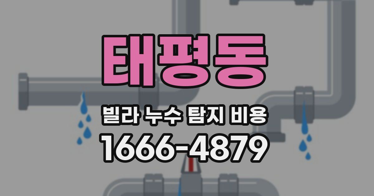 태평동 빌라 누수 탐지 비용