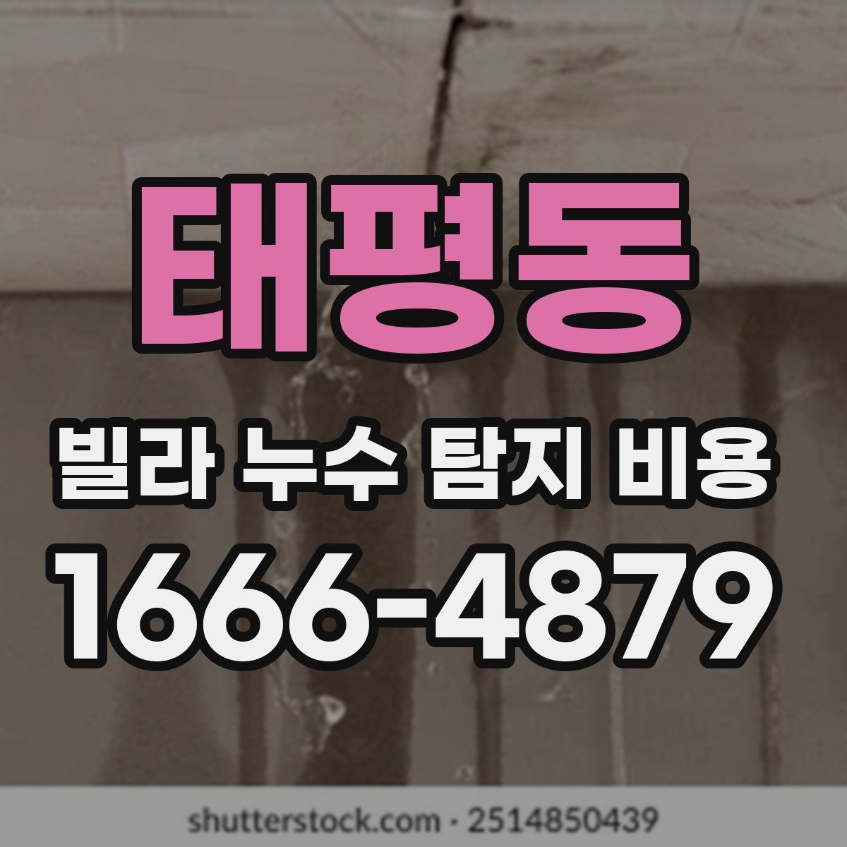 태평동 빌라 누수 탐지 비용