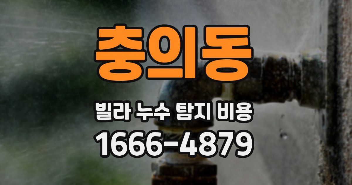 충의동 빌라 누수 탐지 비용