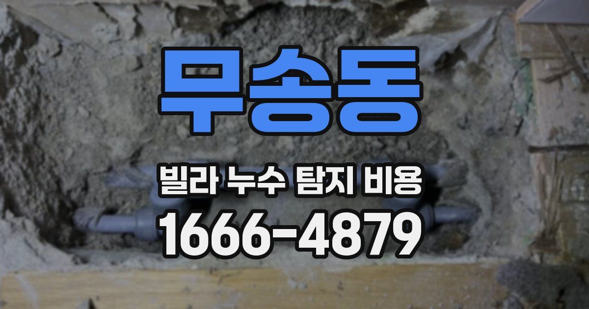 무송동 빌라 누수 탐지 비용