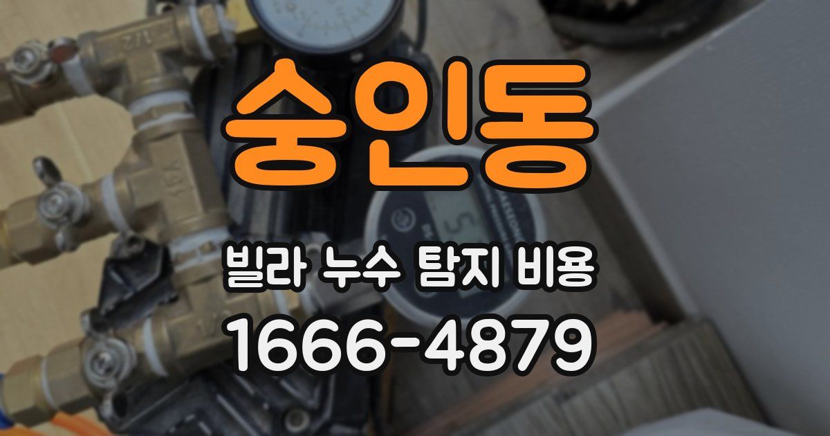숭인동 빌라 누수 탐지 비용