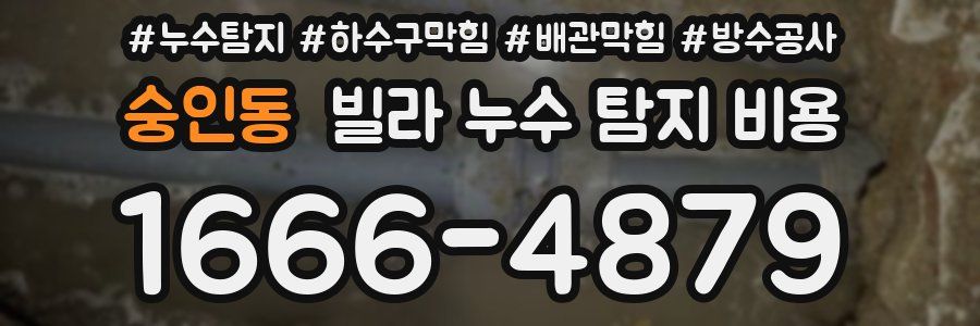 숭인동 빌라 누수 탐지 비용