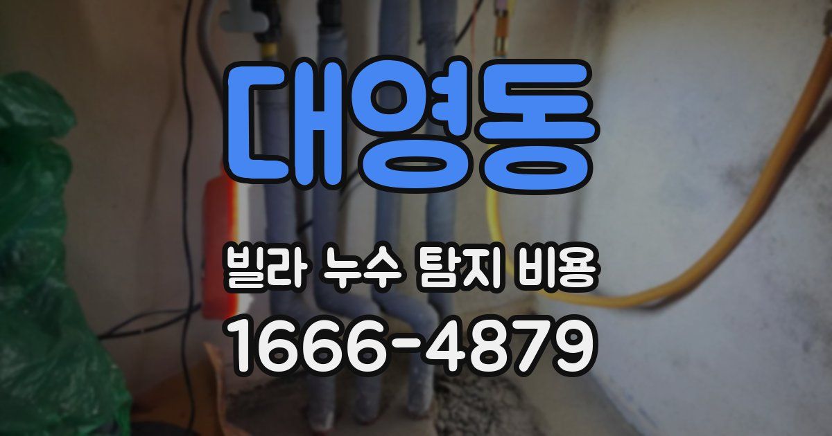 대영동 빌라 누수 탐지 비용